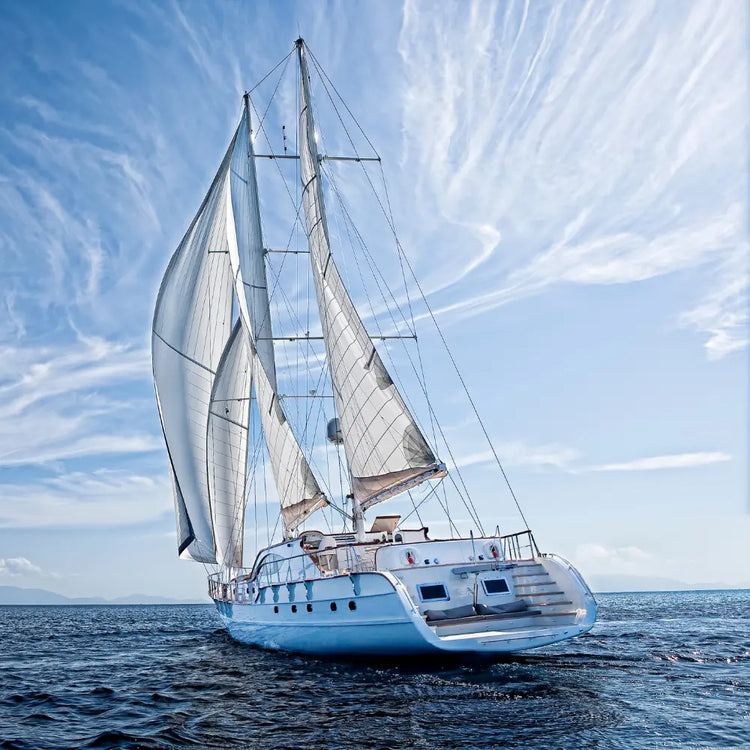 Nautique Boutique Solaire Québec