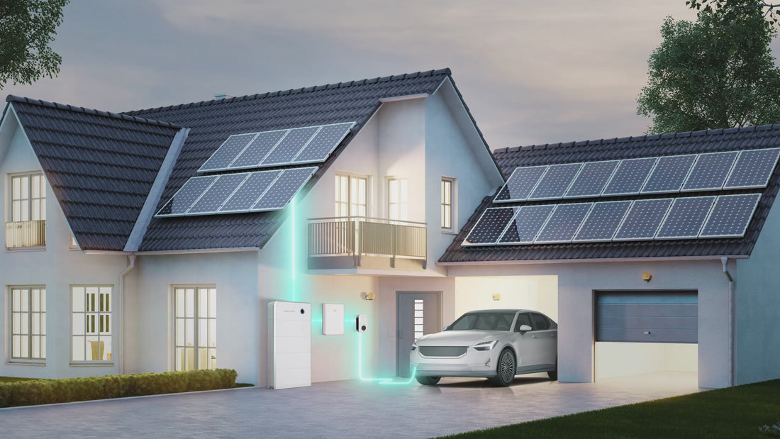 Charger la vidéo : 